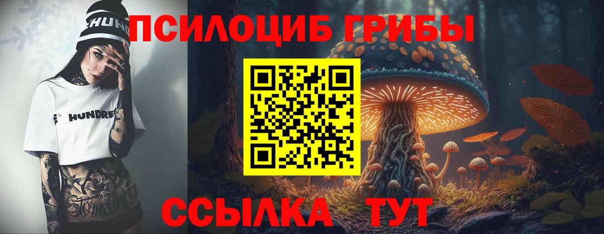 Саратов  Псилоцибиновые грибы прущие грибы  Вход с VPN 